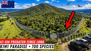 Biologists Said This Mountain Was Dead — Then One Farmer's 47-Km Fence Brought Back 700 Species