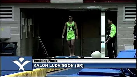 Kalon Ludvigson - Tumbling Second Pass - 2009 Visa...