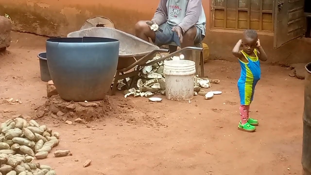 How to store kola nut. kolanut business.