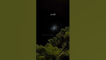 وإذ قلنا للملائكة اسجدوا لادم فسجدوا الا ابليس||القارئ ياسر الدوسري 🫀🤍