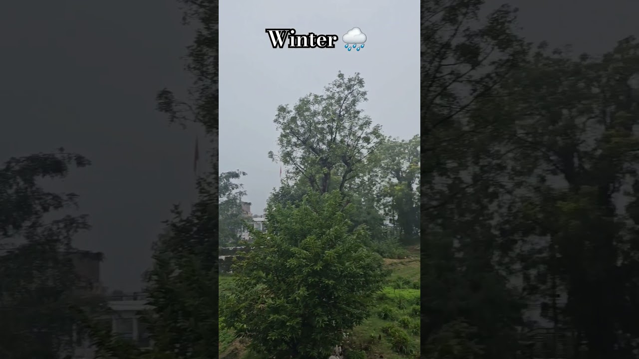 Winter Rain In Rajasthan 