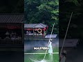 The Ancient Chinese Art of Balancing on a Single Bamboo Pole #bamboosheets #shorts #reels #viral #yt