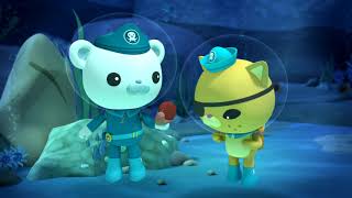 Октонавти і краб та морський їжак 1080p WEB DL