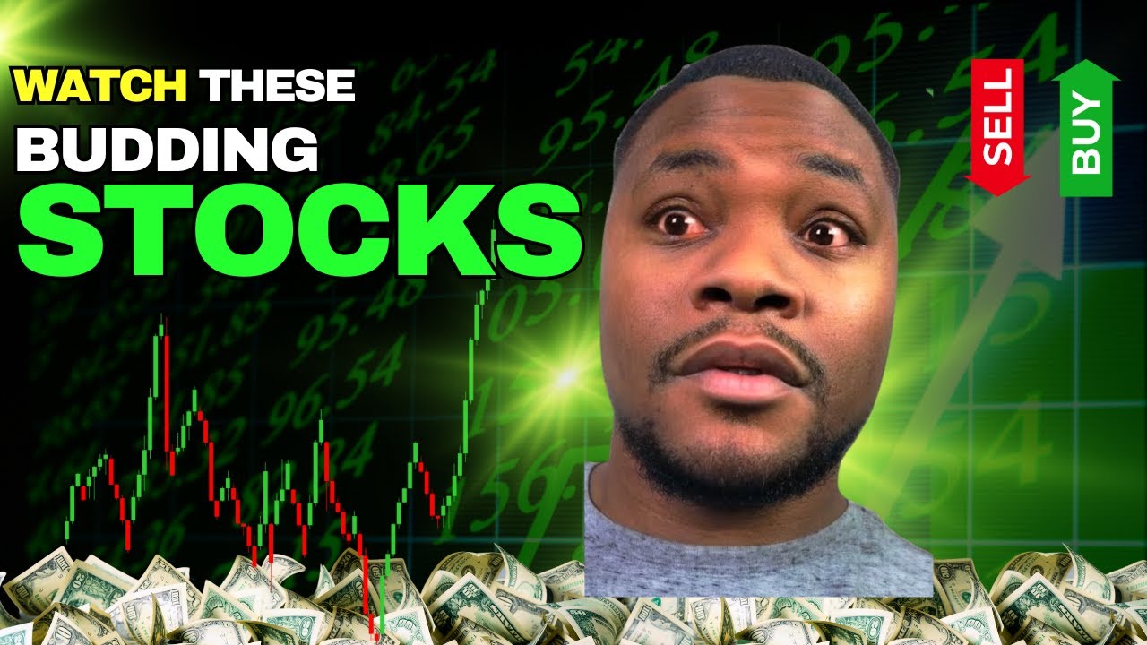 Cannabis Stocks to Buy 2021 - YouTube