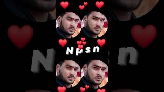 npsn(2)