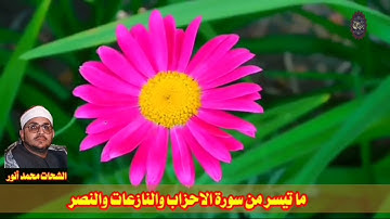 تلاوة نادرة للقارئ الشيخ الشحات محمد أنور ما تيسر من سورة الأحزاب والنازعات والنصر