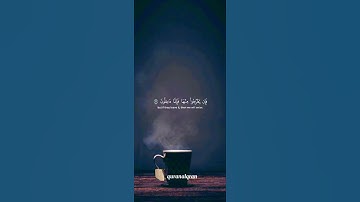 سورة المائدة القارئ #ياسر_الدوسري ‎@islam_sobhi@Sonic_islami#فلسطين#السعودية#المغرب#مصر#الجزائر#تونس