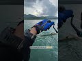 Jadi ikan kok ??? #fishing #mancingmania #relixcapung #irolyfishingteam #angler #ultralightfishing