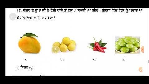 PSEB 5th EVS model test paper 2022 complete solution | pseb 5th EVS sample paper | pseb 5th evs