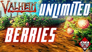 Valheim | How to Make a Berry Farm | Guide | Tips and Tricks screenshot 5