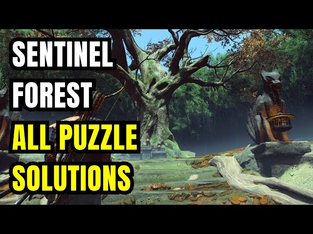 Sentinel Forest All Puzzle Solutions | Ghost of Yōtei - YouTube