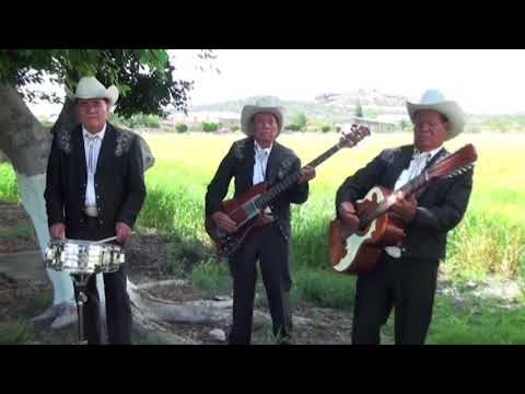 Flor De Dalia - Hermanos Banda De Salamanca