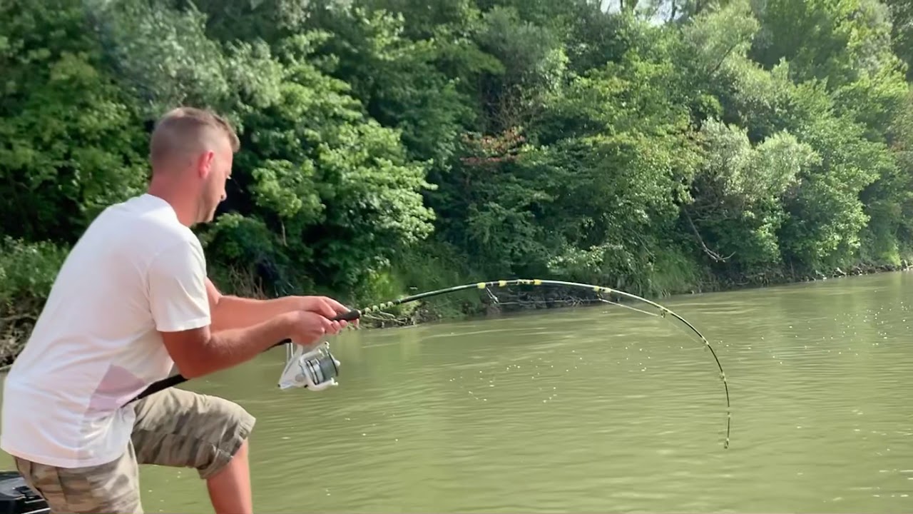 Drávai harcsa 25+ (Szomor Tamás)