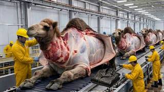Camel to Luxury Jacket – Inside World's Largest Leather Factory  Full Process.