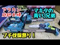 【50代庭師夫婦】244 バッテリーチェンソーでプチ伐採祭り。