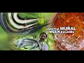 வறுத்த முரல் மீன் குழம்பு | Roasted Mural Fish Broth | Hot and spicy Mural fish fry gravy |