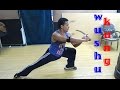 تعلم أساسيات أساليب الكونغ فو شاولين      