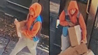 Delivery worker steals packages from house in Brooklyn