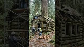 Restoring a hidden cabin 🌲 #cabinrestoration #offgridliving #cabinbuild #woodworking #restoration