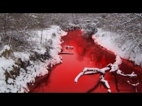 هل شاهدت من قبل شلال من الدماء شيء مرعب فعلا