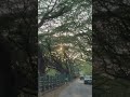 Silence, broken only by leaves and wheels