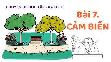 Bài 7- Cảm biến - Chuyên đề học tập vật lí 11.