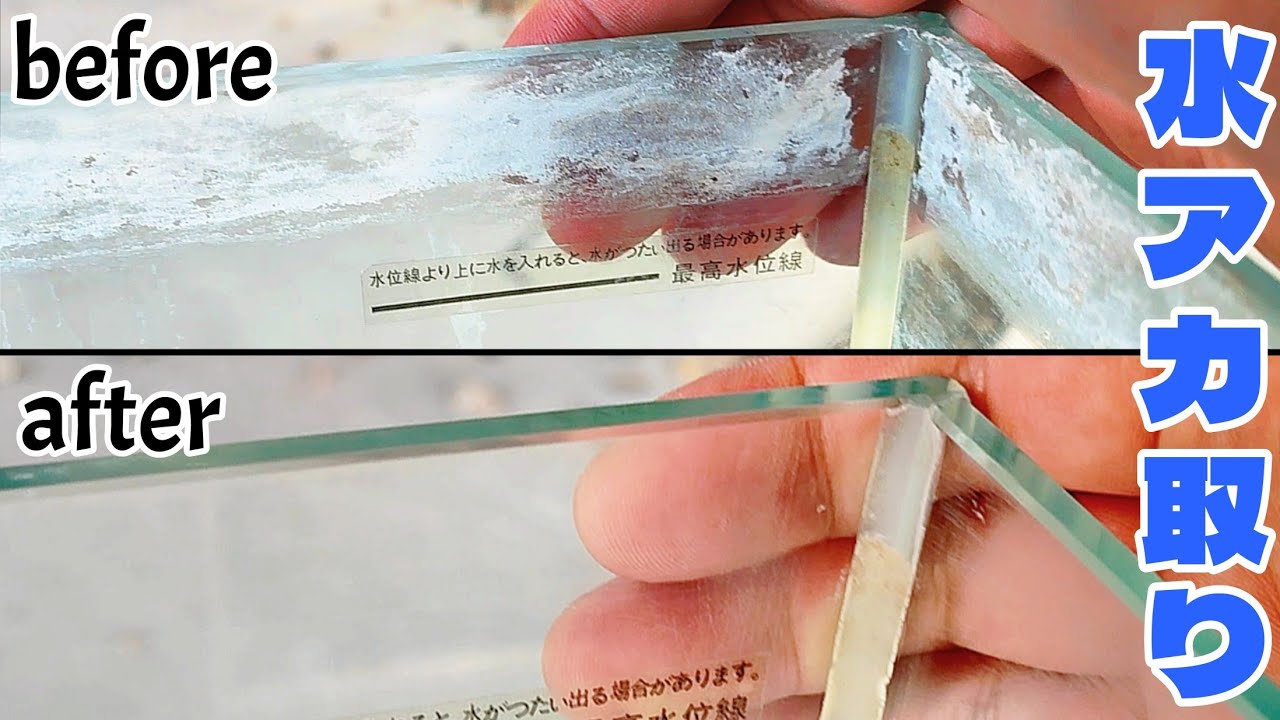 10年溜めたガンコな水槽の水アカを綺麗に掃除してみた！ - YouTube