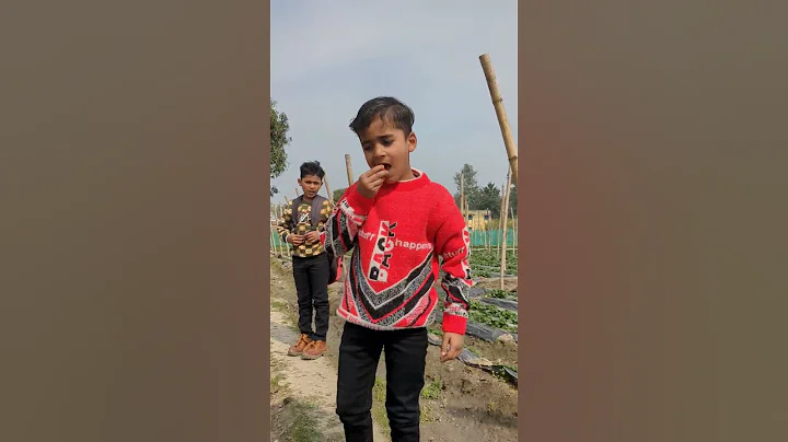 😂🔥जब Sayan पहुंचा स्टेबरी के खेत में 😃😄 #villagelife #strawberry ki khethi #shorts #shortsfeed2024