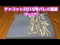 チャコット(Chacott)2019年福袋開封動画。可愛いジュニアバレエウェア
