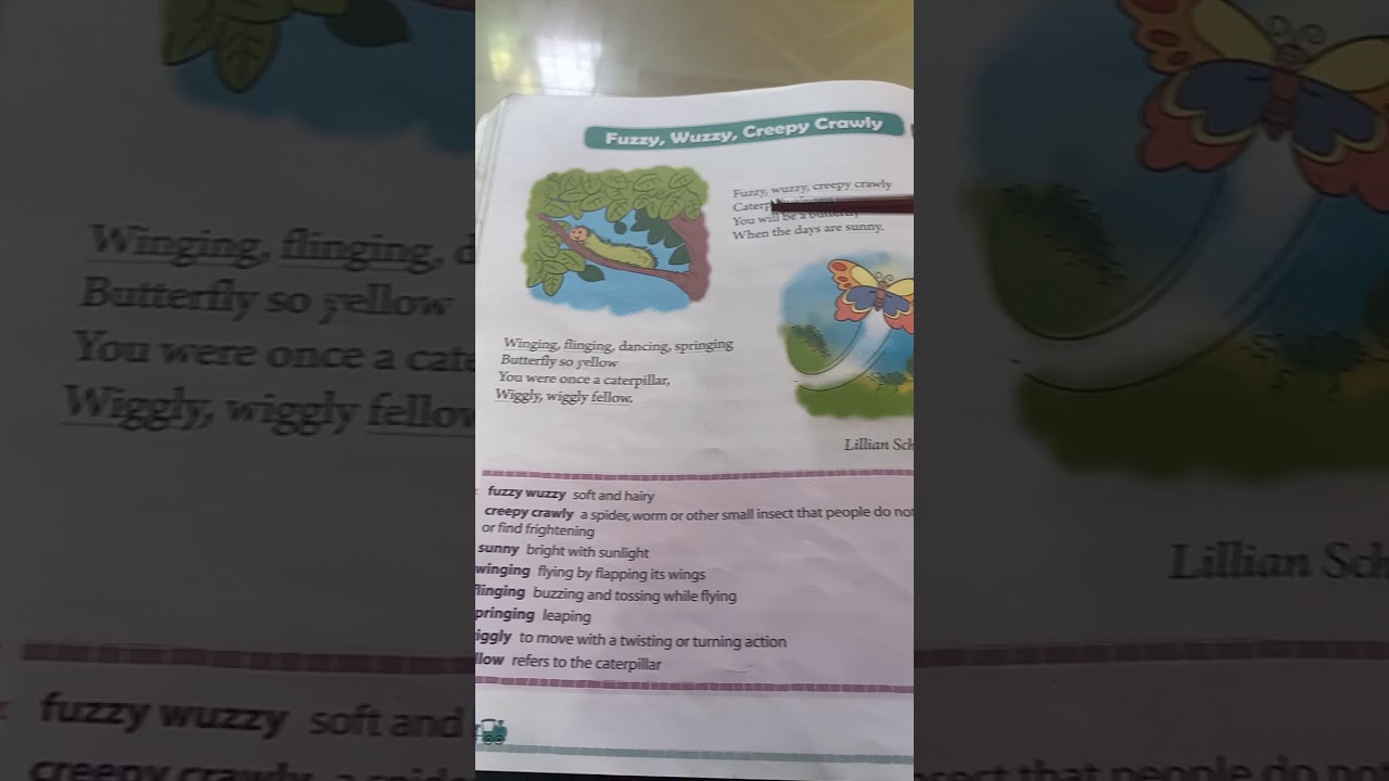 Fuzzy Wuzzy Creepy Crawly Poem YouTube fuzzy-wuzzy-creepy-crawly-poem-youtube