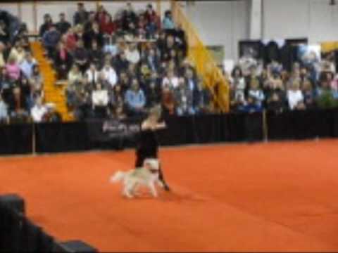 Cassandra Hartman Purina Nationals 2010