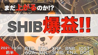 【BTC】まだ上がるのか！？SHIB爆益！！（2021年10月30日 相場分析）前半