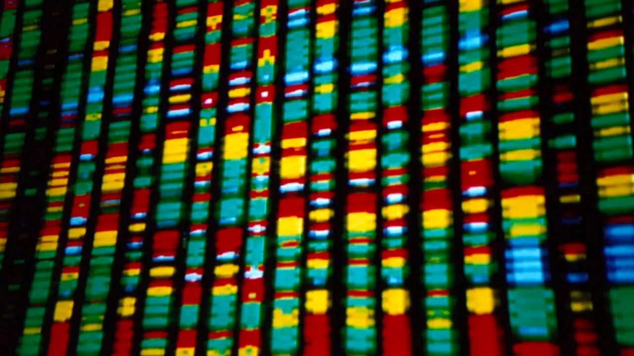 The Great Unlearning: From Inferential Art to Aesthetic Inferentialism 1/4