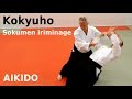 Aikido technique KOKYUHO (Sokumen iriminage) by Stefan Stenudd, 7 dan Aikikai shihan