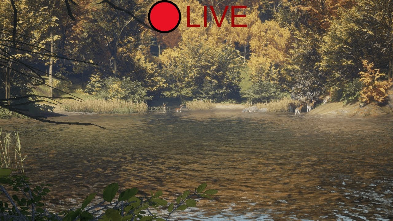 Hunting LIVE! 