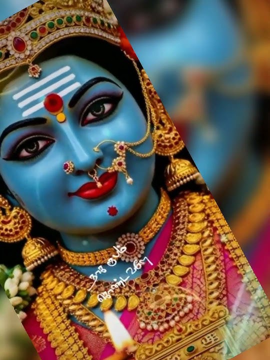 Nagam pola asaithu varum nezhithuvarum ther azhagu