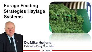 Forage Feeding Strategies: Haylage Systems