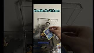 Dark Blastoise Lifted Edge Repair #pokemoncards #pokemoncard #pokemontcg #cardrepair