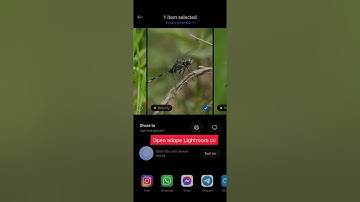 Adobe Lightroom cc editing for macro photography