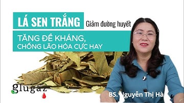 LÁ SEN TRẮNG - Dược liệu chữa tiểu đường, 100 người thì 99 người không biết