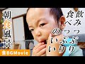 【食BGM】子供のご飯が進むという噂のあおちゃんの食事風景！是非動画見ながら一緒にご飯を食べましょう [day707]