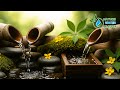 Zen Bamboo Water Fountain Sounds for Deep Relaxation &amp; Sleep | Gentle Streams &amp; Meditative Nature