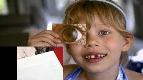 Training and Development Solutions Online Professional Development Series for K12 Educators