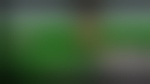 How to make an automatic door in mini block craft