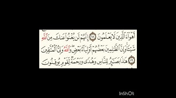 سورة الجاثية ١٩الى٢٠ #سورةالفاتحة #اكسبلور #سورةالكوثر #تيك_توك #المصحف #سورةالاخلاص #الورقات