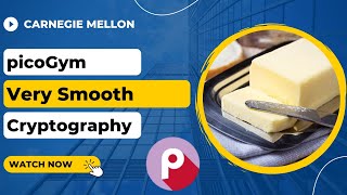 picoGym (picoCTF) Exercise: Very Smooth Net Worth