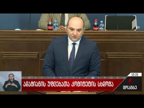 ადამიანის უფლებათა კომიტეტის სხდომა