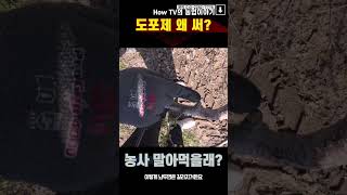 과수농가분들 도포제 왜 쓰세요?
