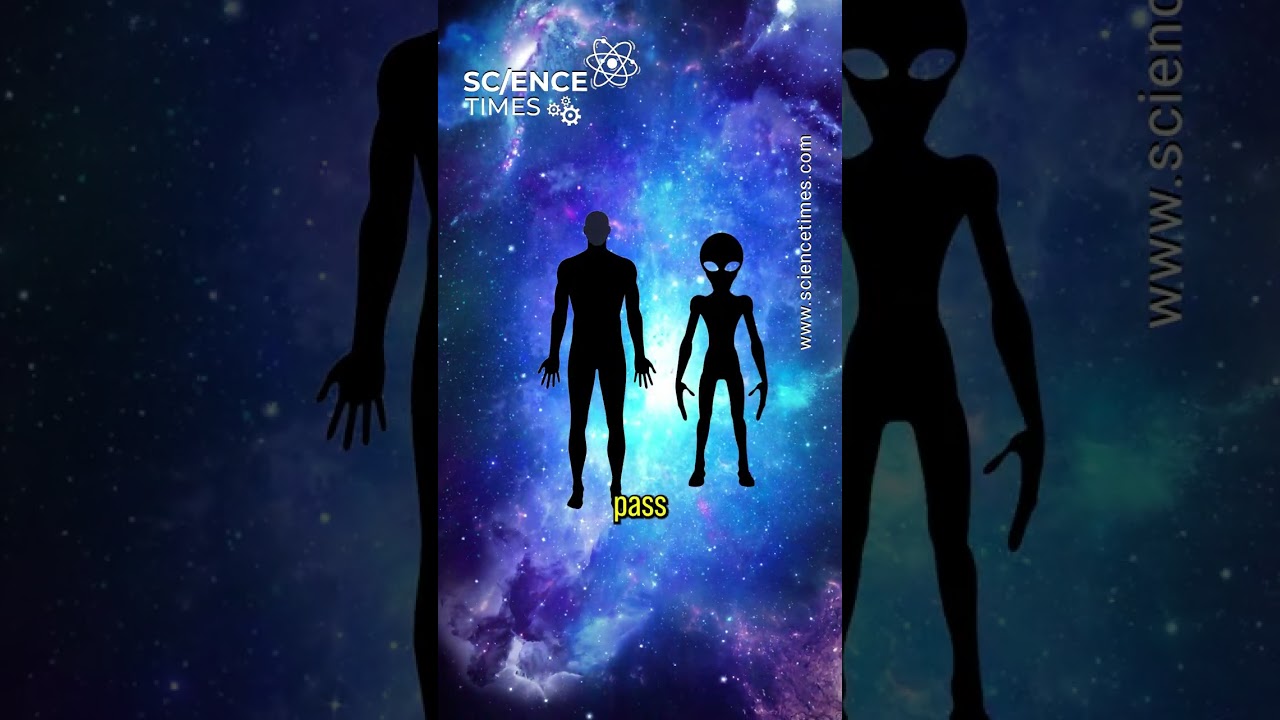 Elon Musk Shares 'Game Plan' To Send 1 Million People to Mars Starting 2029