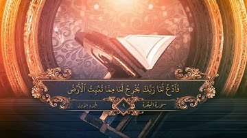 سورة البقرة||محمد صدّيق المنشاوي|ترتيل|صفحة"9"|مكتوبة